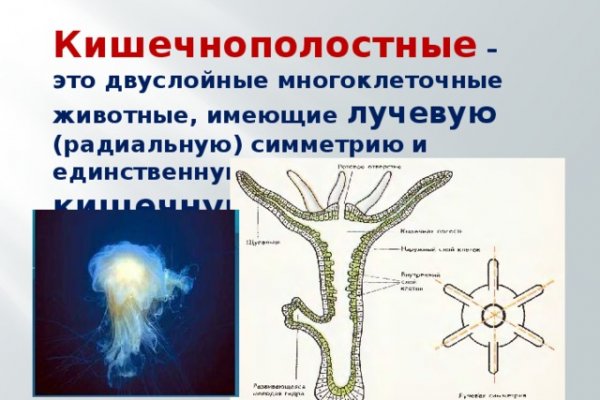 Не могу зайти на кракен