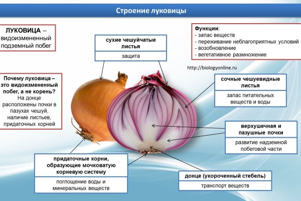 Почему не работает сайт кракен