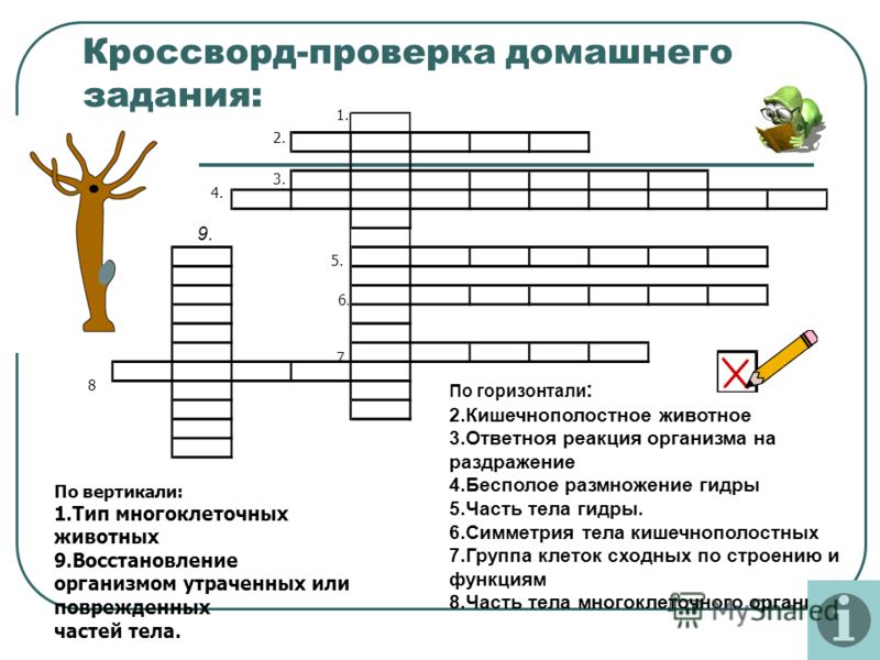 Что с кракеном сегодня сайт